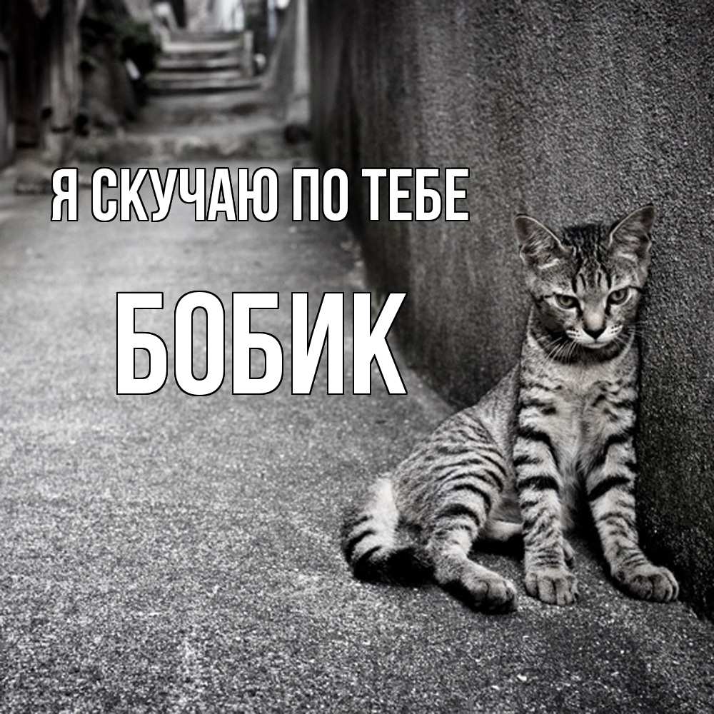 Открытка  с именем. Бобик, Я скучаю по тебе  