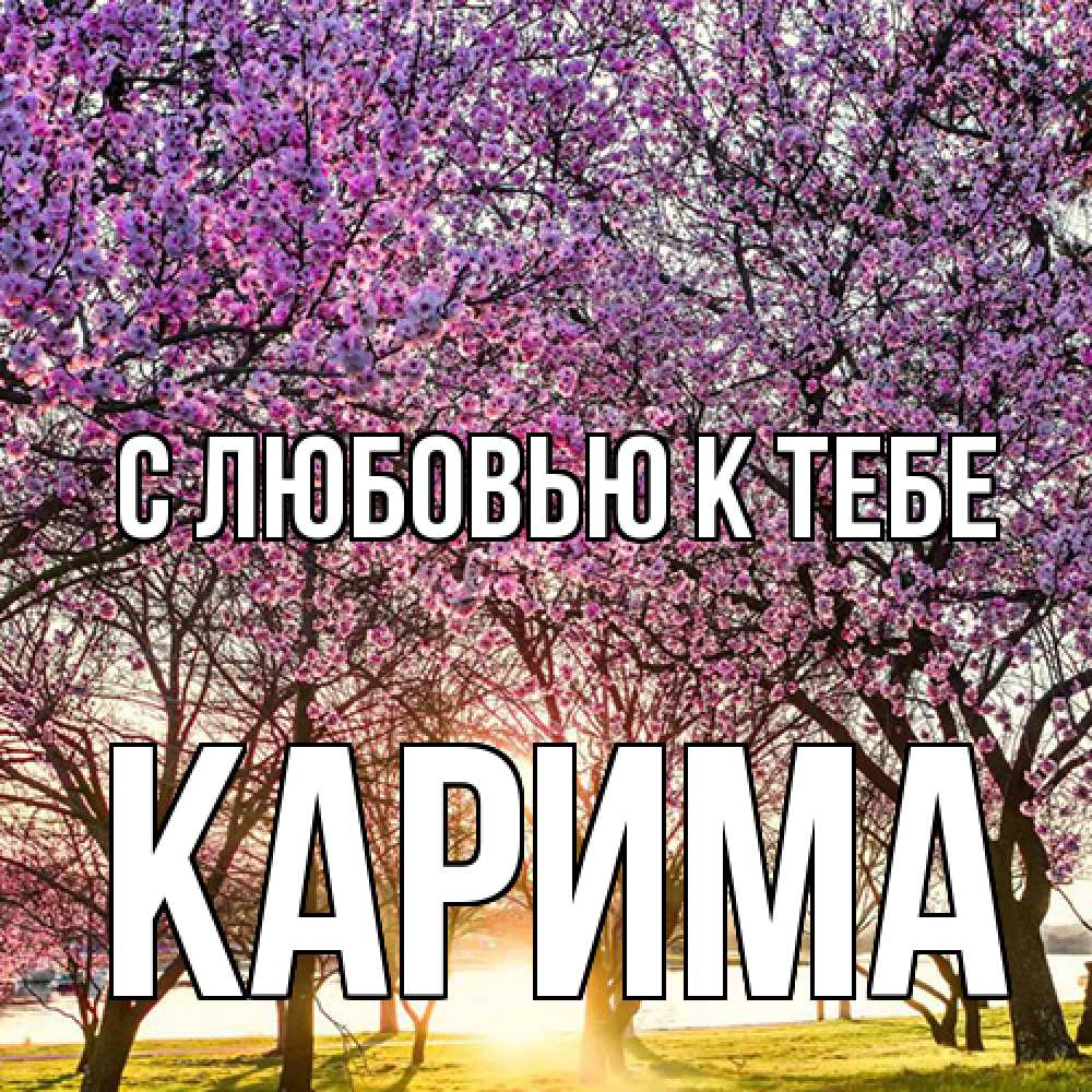 Открытка  с именем. Карима, С любовью к тебе  