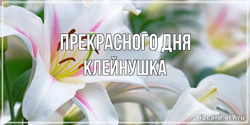 Открытка  с именем. Клейнушка, Прекрасного дня  