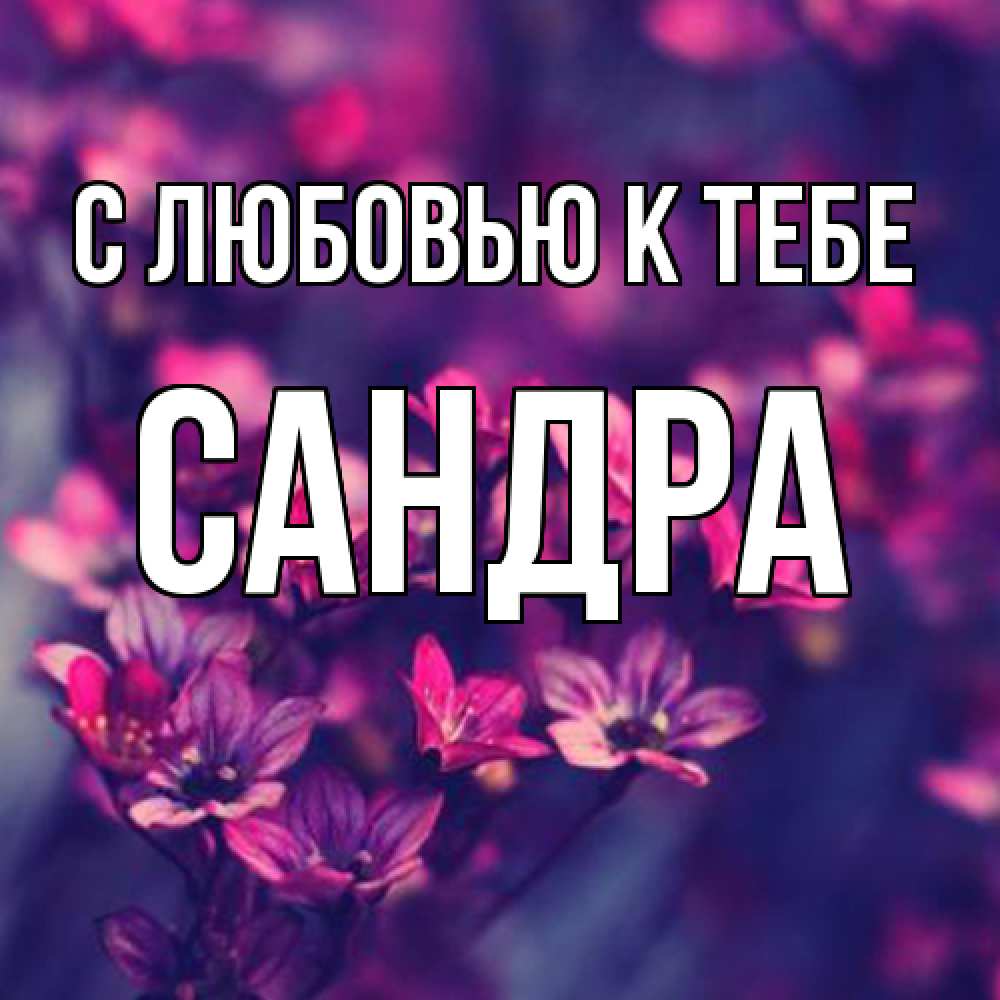 Открытка  с именем. Сандра, С любовью к тебе  