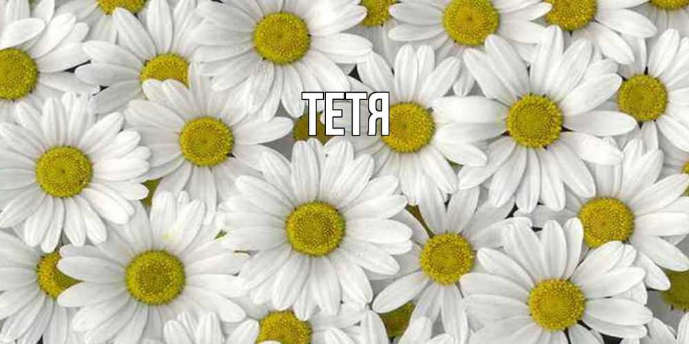 Открытка  с именем. Тетя, Главная  