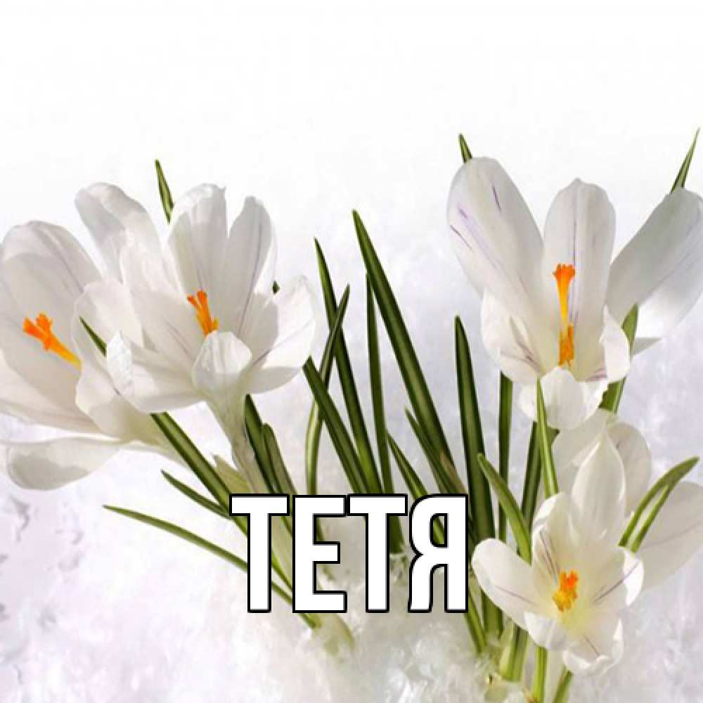 Открытка  с именем. Тетя, Главная  
