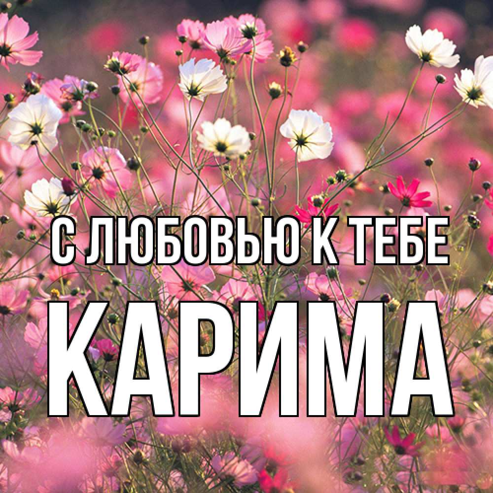 Открытка  с именем. Карима, С любовью к тебе  