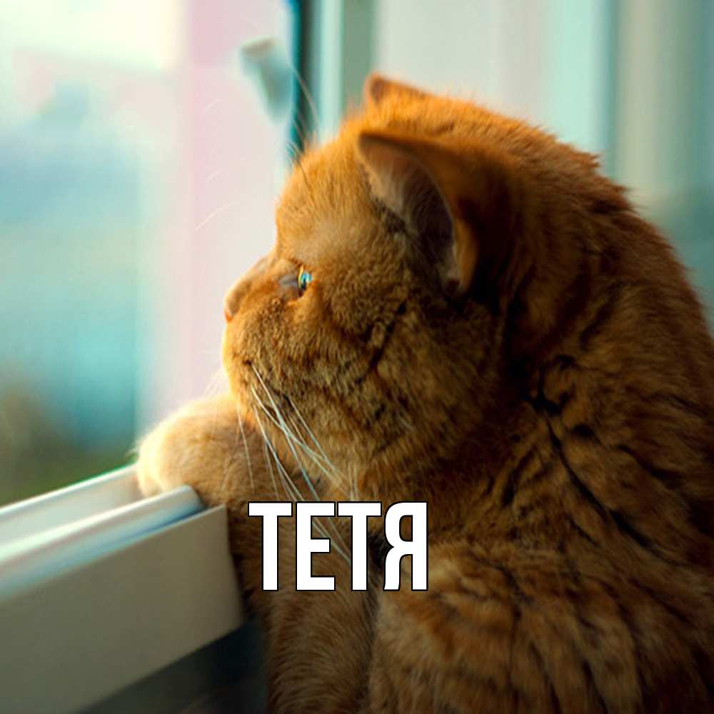 Открытка  с именем. Тетя, Главная  
