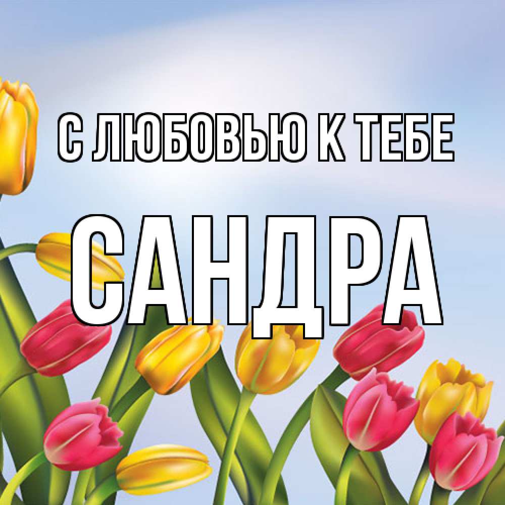 Открытка  с именем. Сандра, С любовью к тебе  