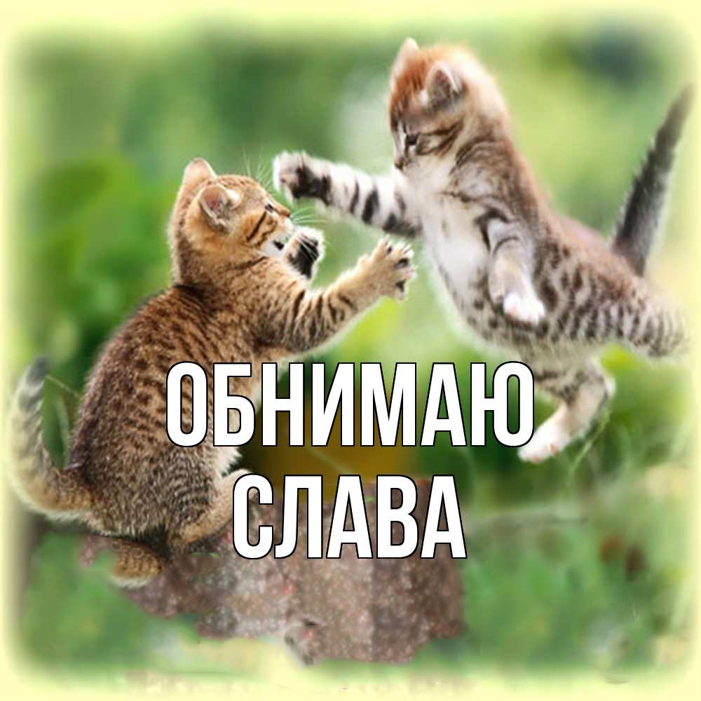 Открытка  с именем. слава, Обнимаю  