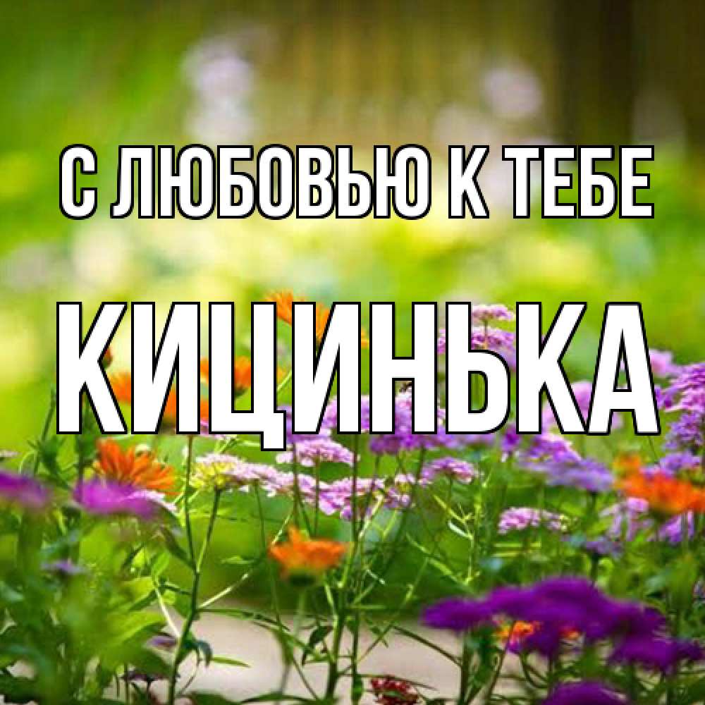 Открытка  с именем. Кицинька, С любовью к тебе  