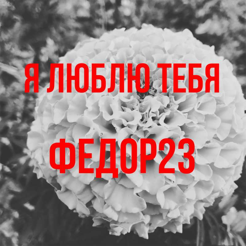 Картинка Я люблю тебя, Федор23