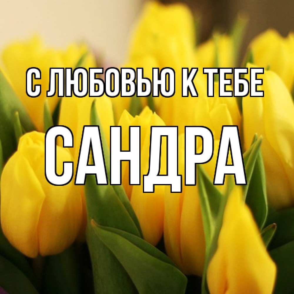 Открытка  с именем. Сандра, С любовью к тебе  