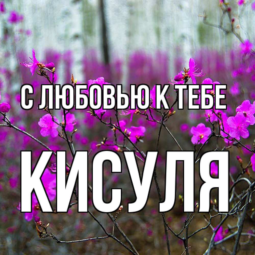 Открытка  с именем. Кисуля, С любовью к тебе  