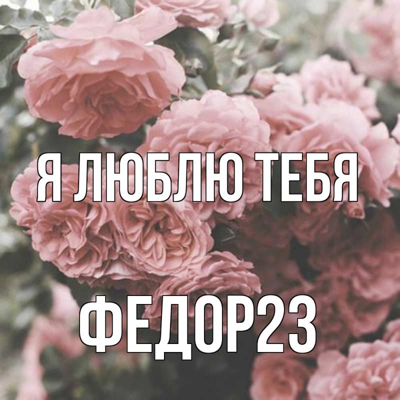 Картинка Я люблю тебя, Федор23