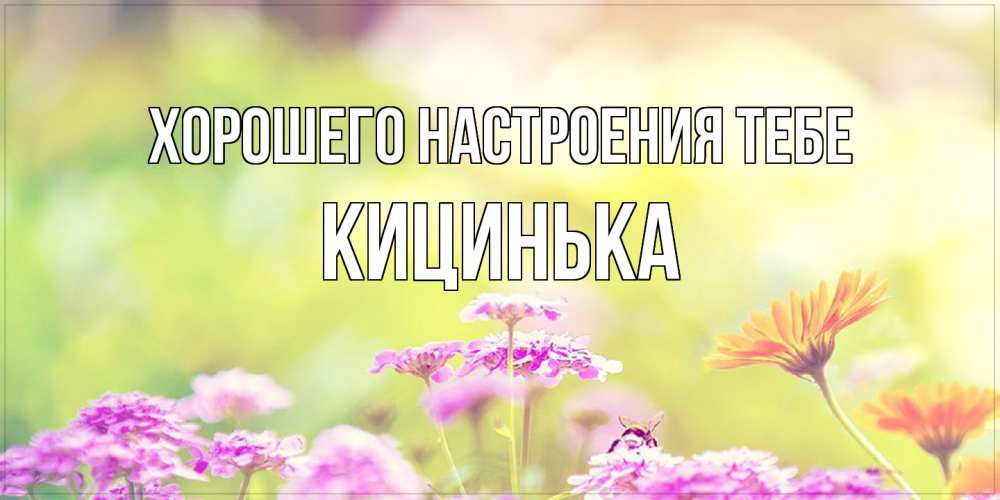 Открытка  с именем. Кицинька, Хорошего настроения тебе  
