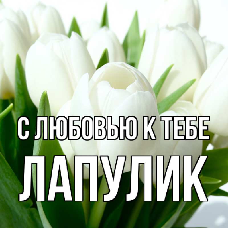 Картинка С любовью к тебе, Лапулик