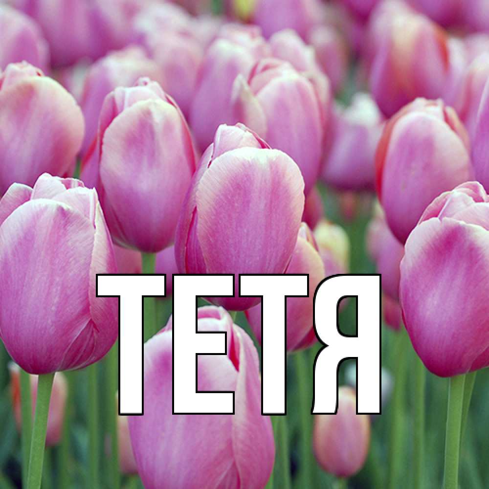 Открытка  с именем. Тетя, Главная  