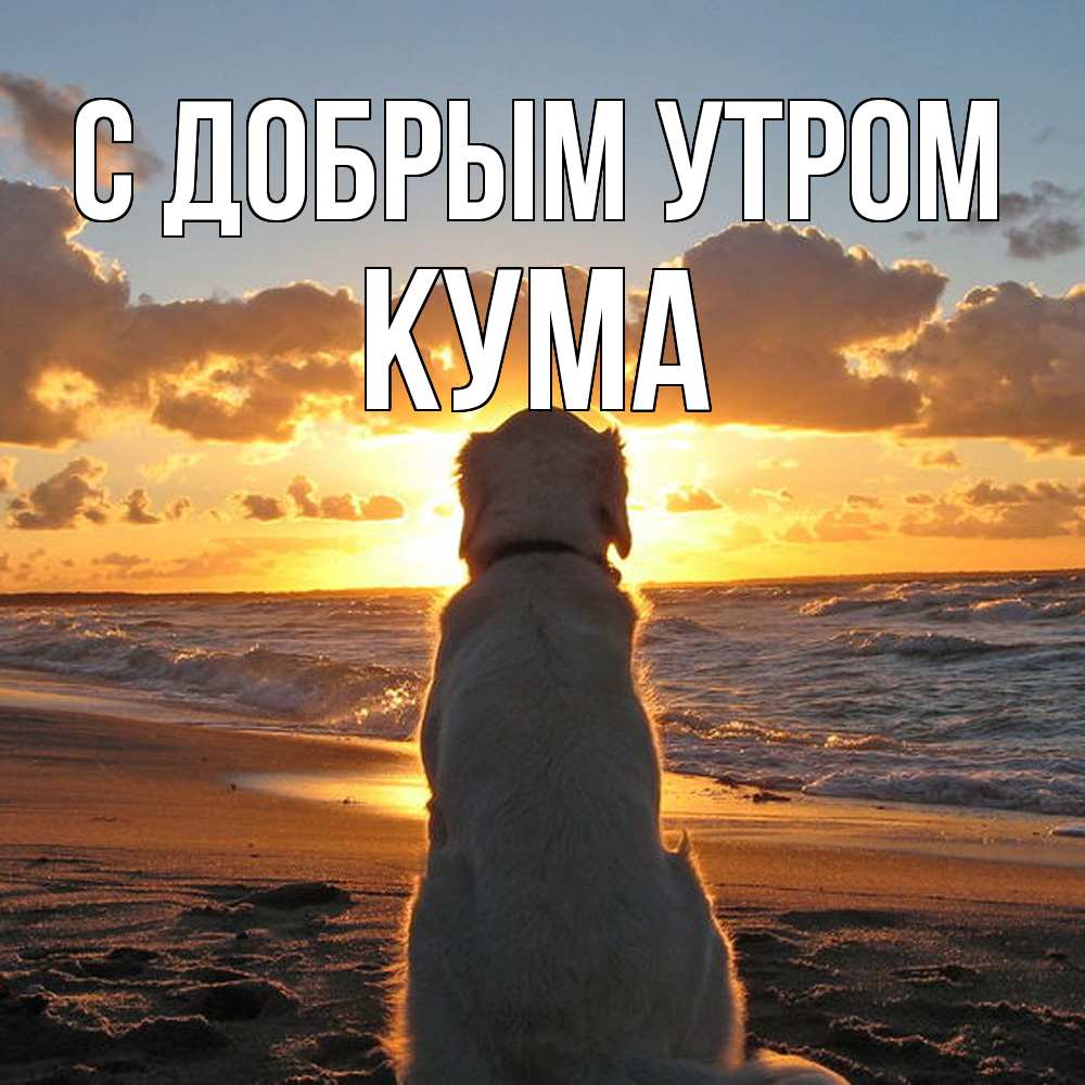 Открытка  с именем. Кума, С добрым утром  