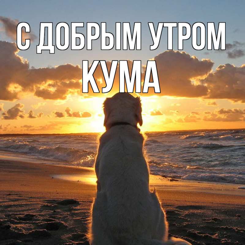 Картинка С добрым утром, Кума