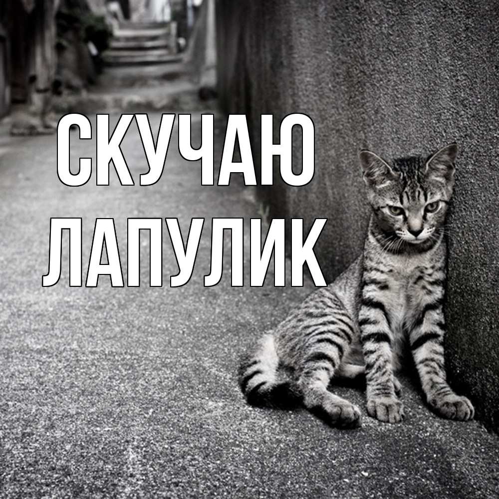 Открытка  с именем. Лапулик, Скучаю  