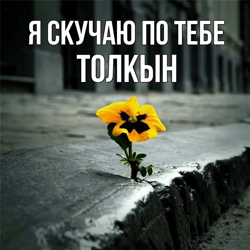 Открытка  с именем. Толкын, Я скучаю по тебе  