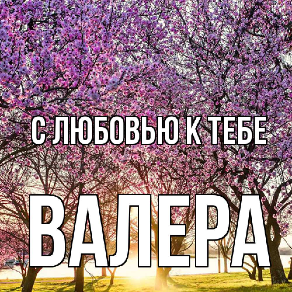 Открытка  с именем. Валера, С любовью к тебе  