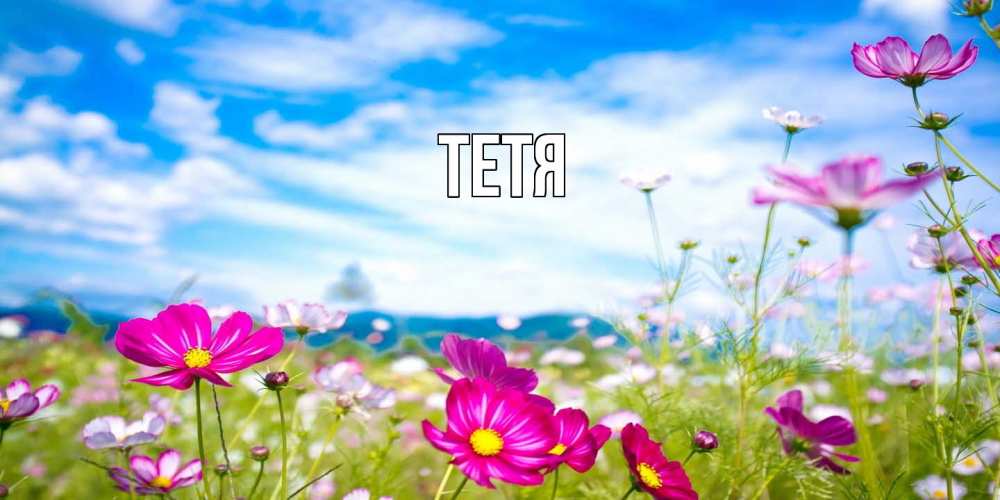 Открытка  с именем. Тетя, Главная  