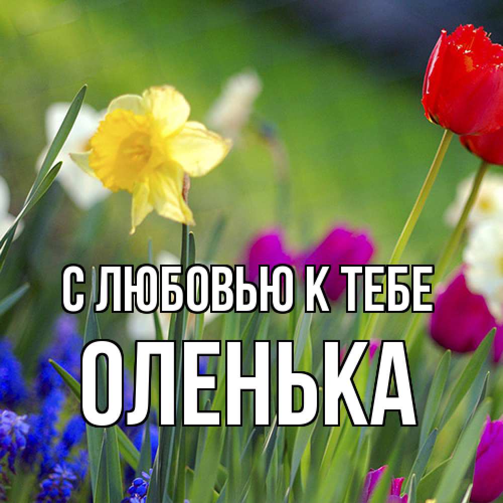 Открытка  с именем. Оленька, С любовью к тебе  