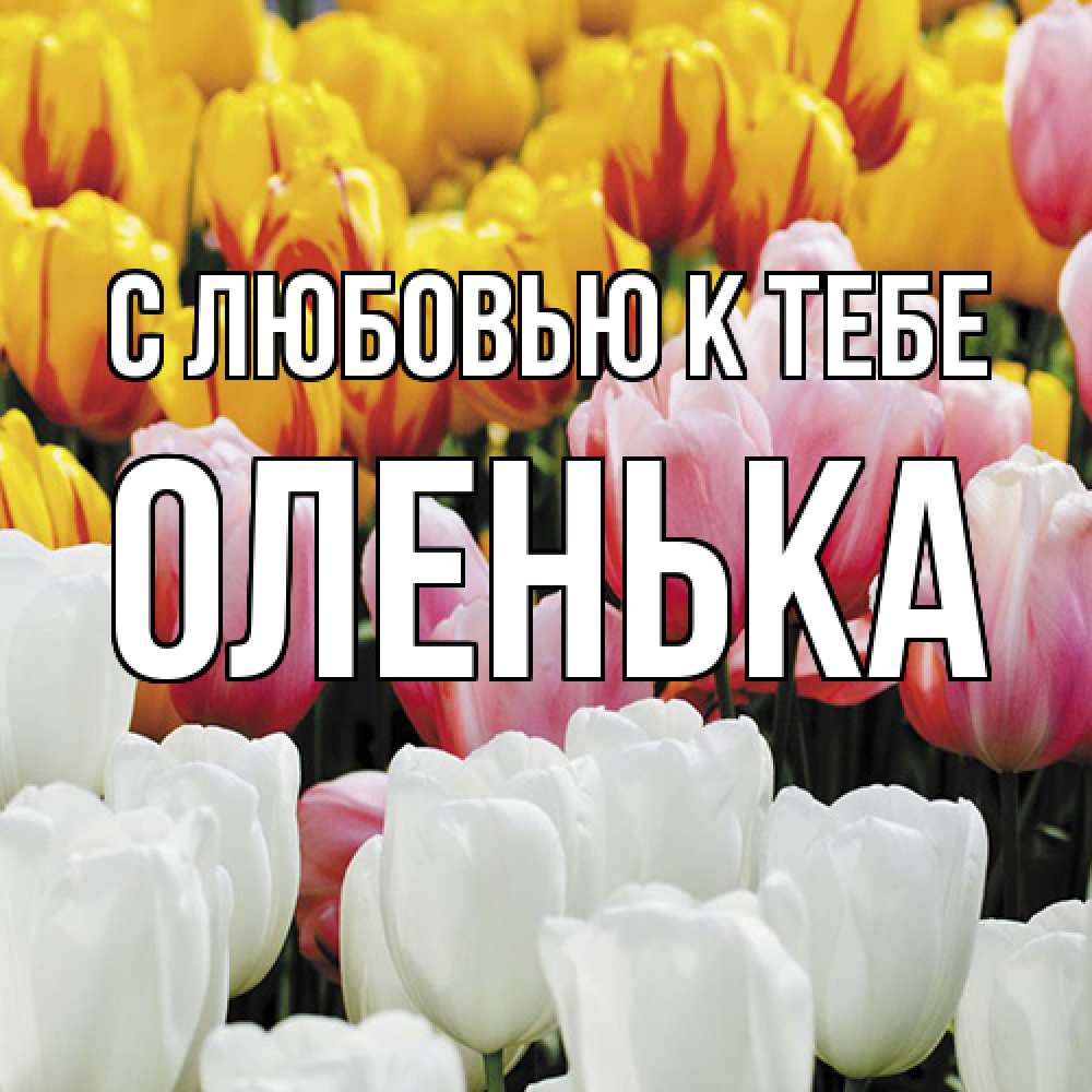 Открытка  с именем. Оленька, С любовью к тебе  