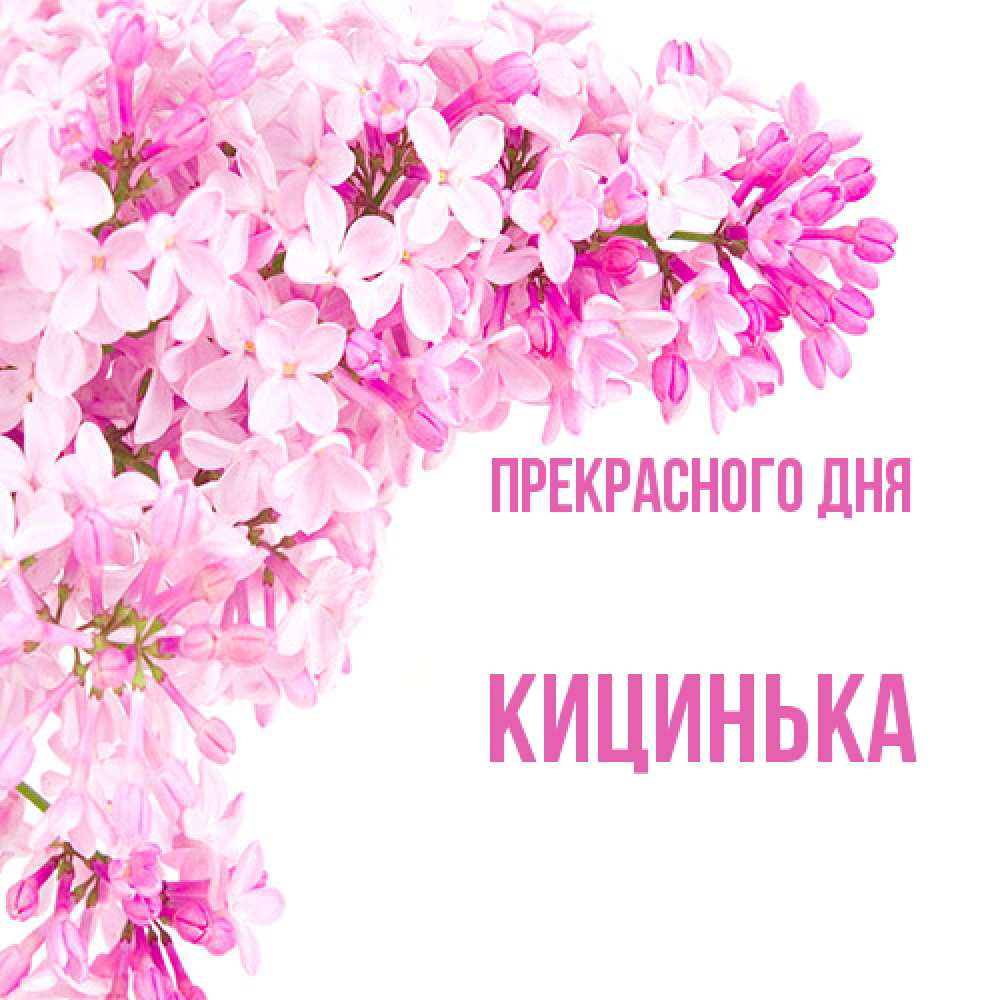 Открытка  с именем. Кицинька, Прекрасного дня  