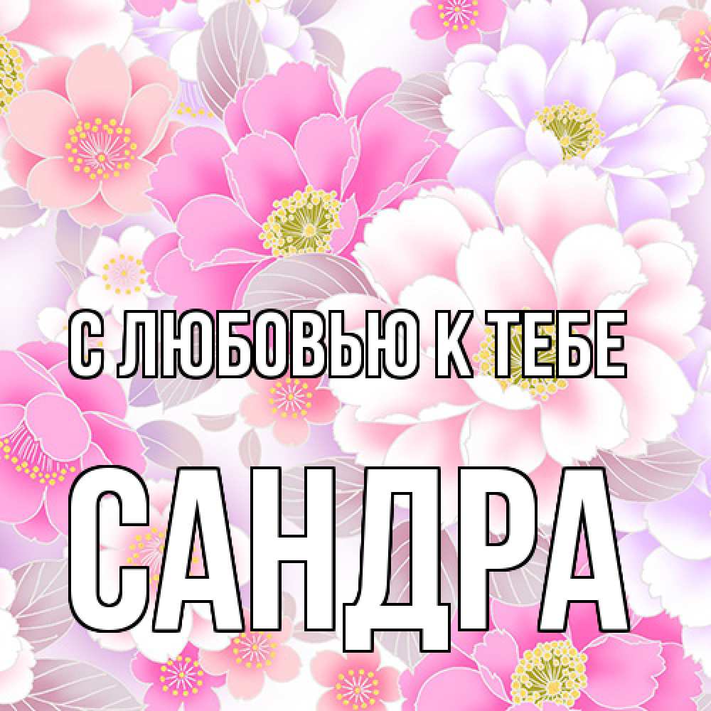 Открытка  с именем. Сандра, С любовью к тебе  