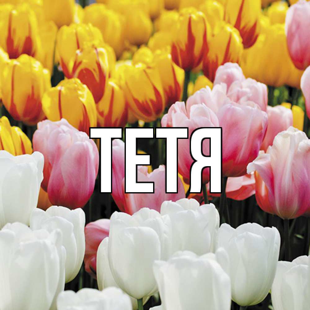 Открытка  с именем. Тетя, Главная  