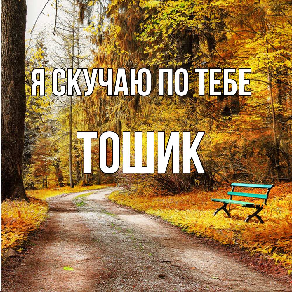 Открытка  с именем. Тошик, Я скучаю по тебе  