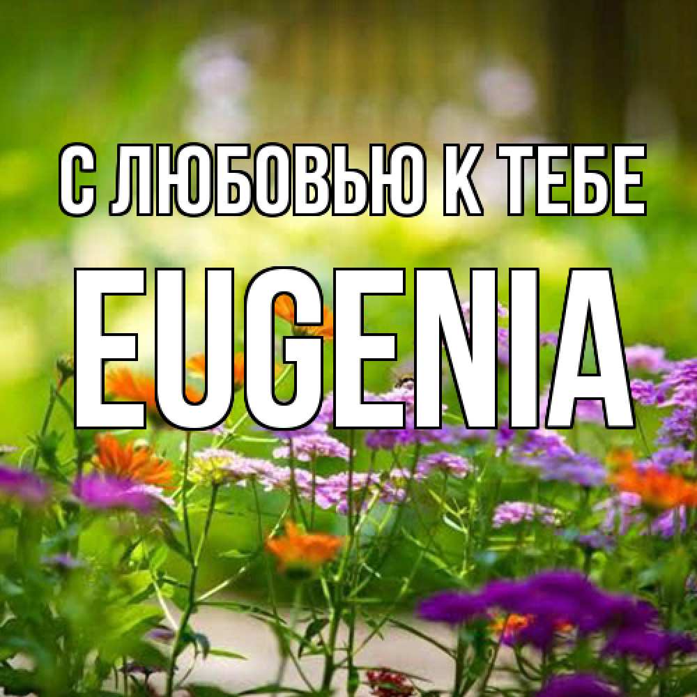 Открытка  с именем. eugenia, С любовью к тебе  