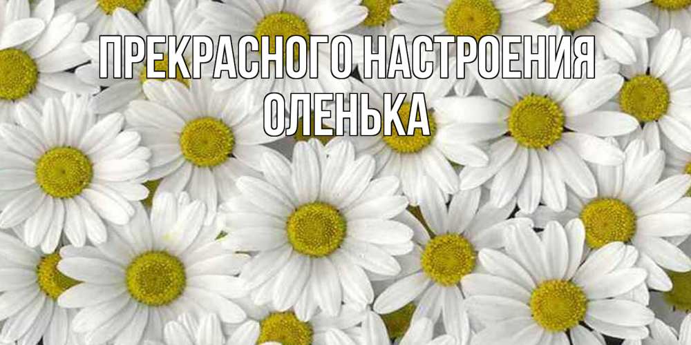 Открытка  с именем. Оленька, Прекрасного настроения  