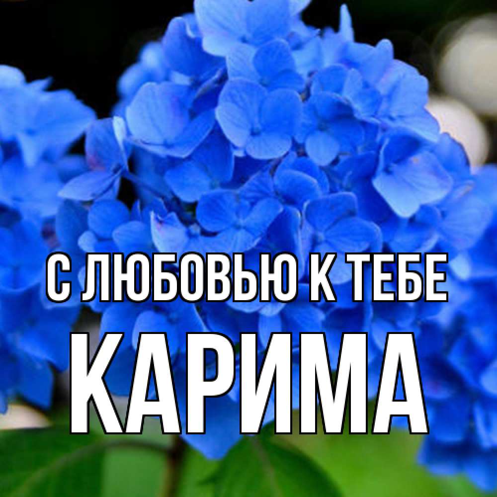 Открытка  с именем. Карима, С любовью к тебе  