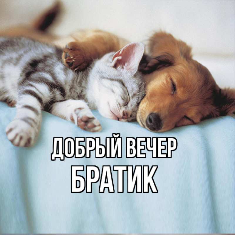 Открытка с именем, Братик, Добрый вечер