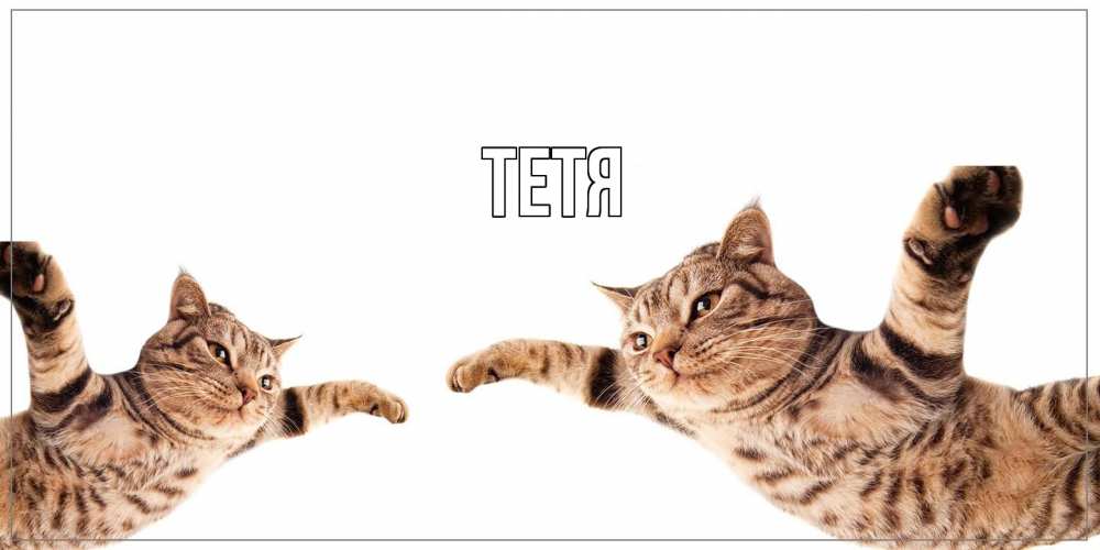 Открытка  с именем. Тетя, Главная  