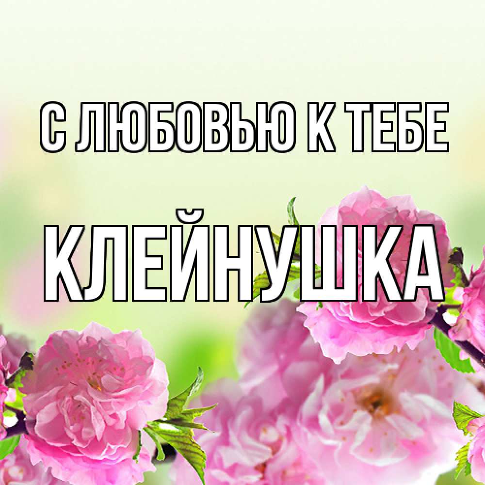 Открытка  с именем. Клейнушка, С любовью к тебе  