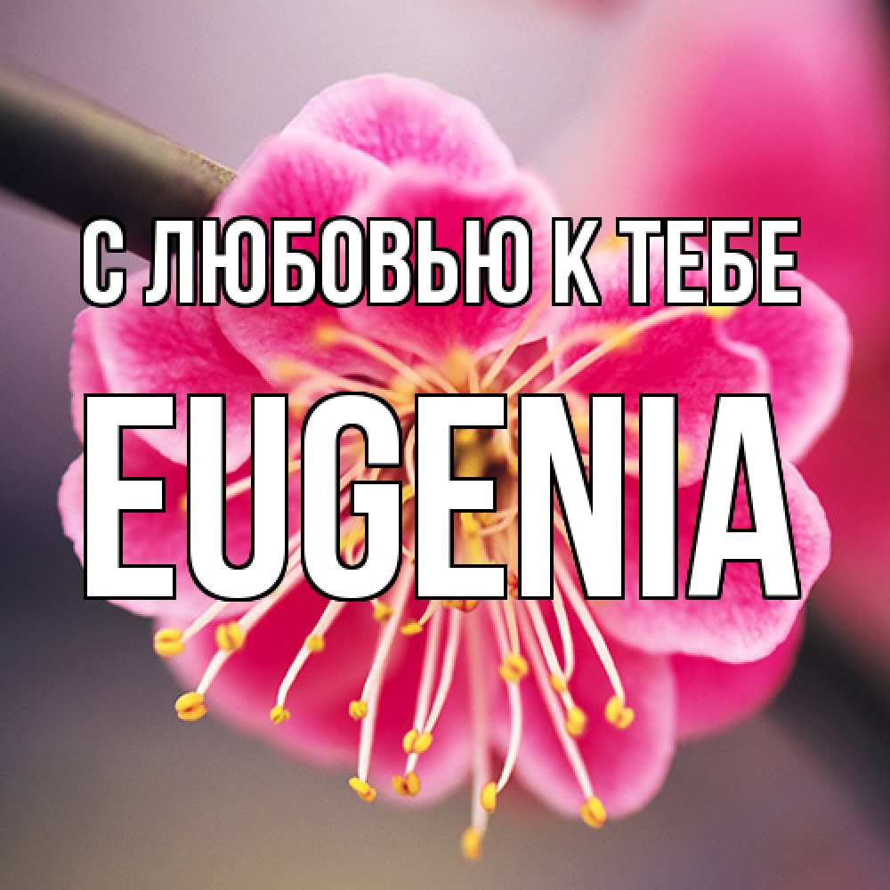 Открытка  с именем. eugenia, С любовью к тебе  