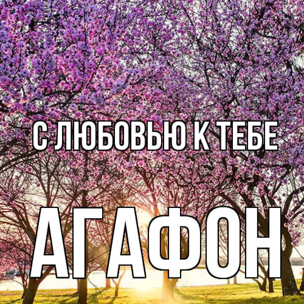 Открытка  с именем. Агафон, С любовью к тебе  