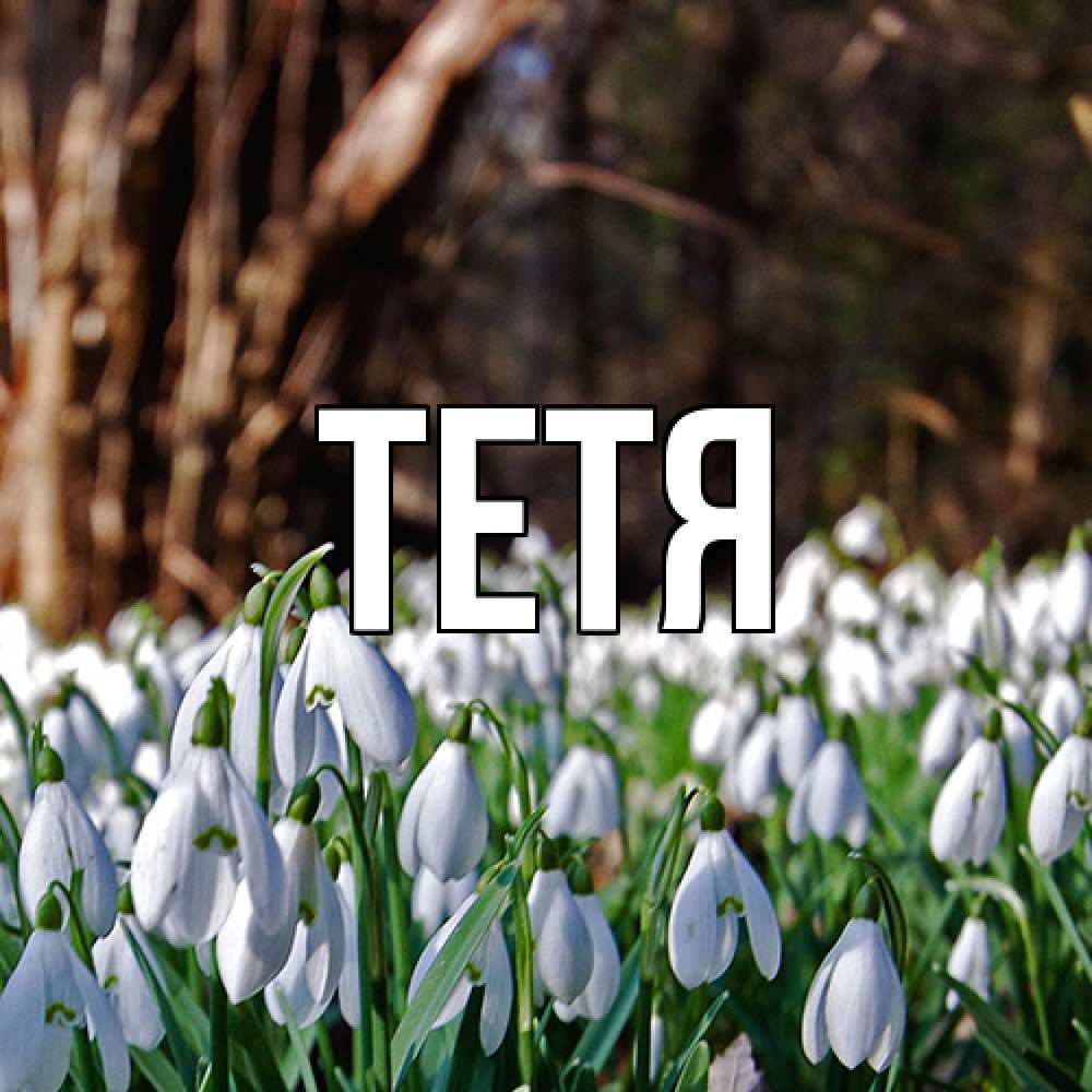 Открытка  с именем. Тетя, Главная  