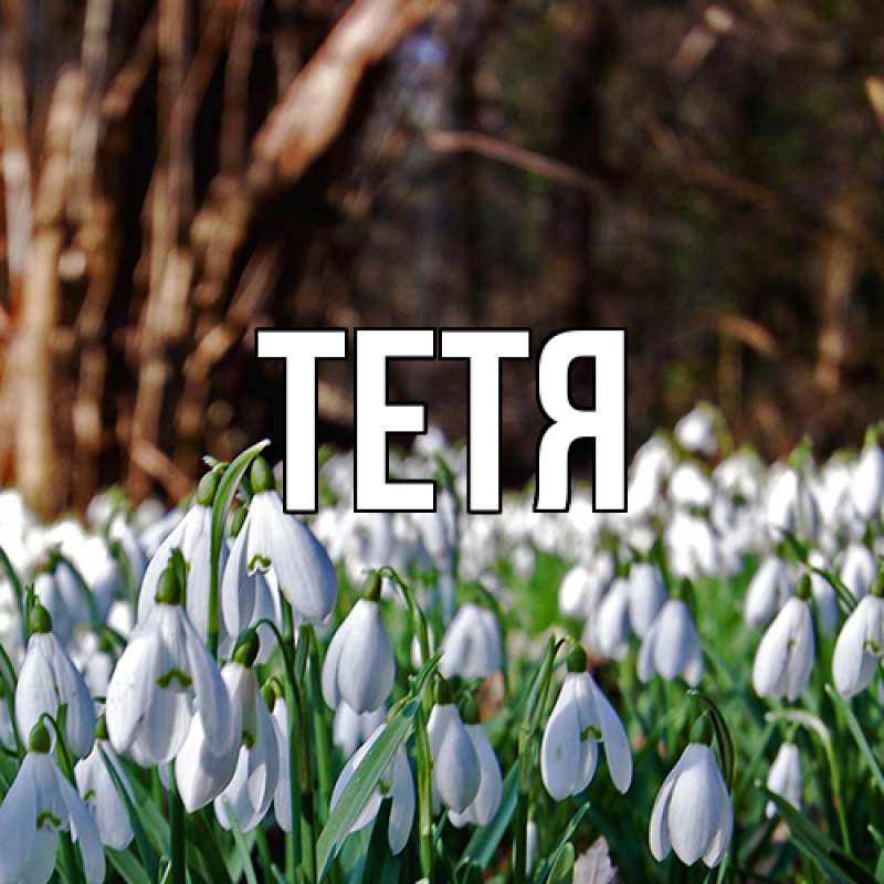 Картинка  с именем , Тетя