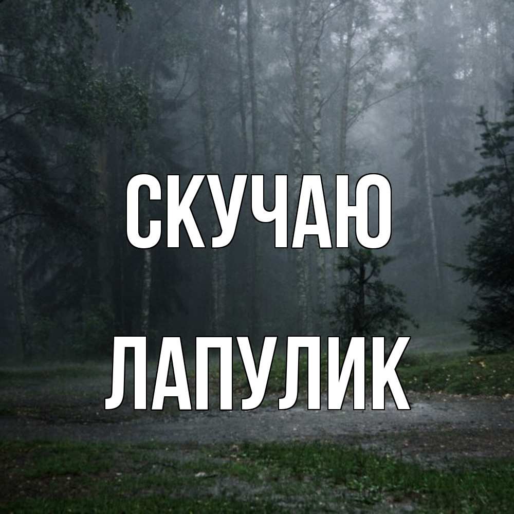 Открытка  с именем. Лапулик, Скучаю  