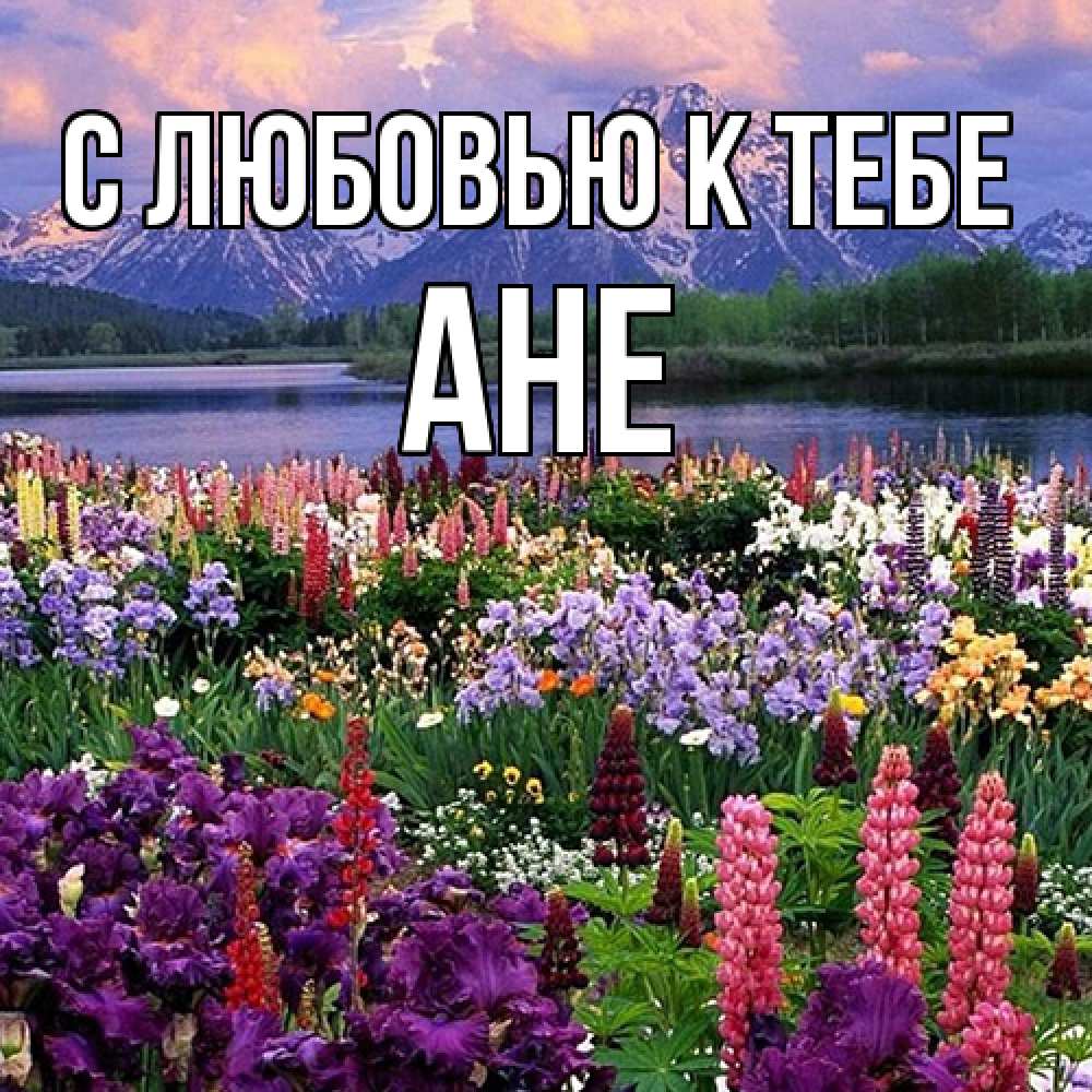 Открытка  с именем. Ане, С любовью к тебе  