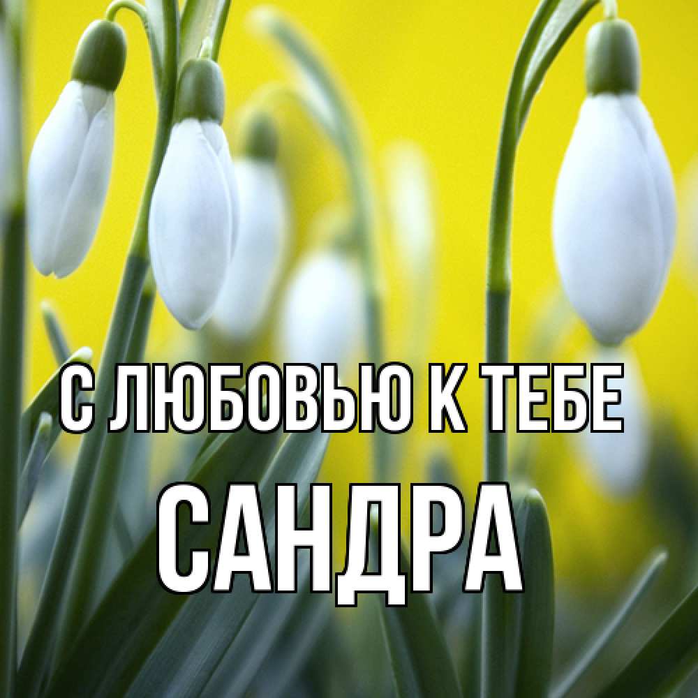 Открытка  с именем. Сандра, С любовью к тебе  