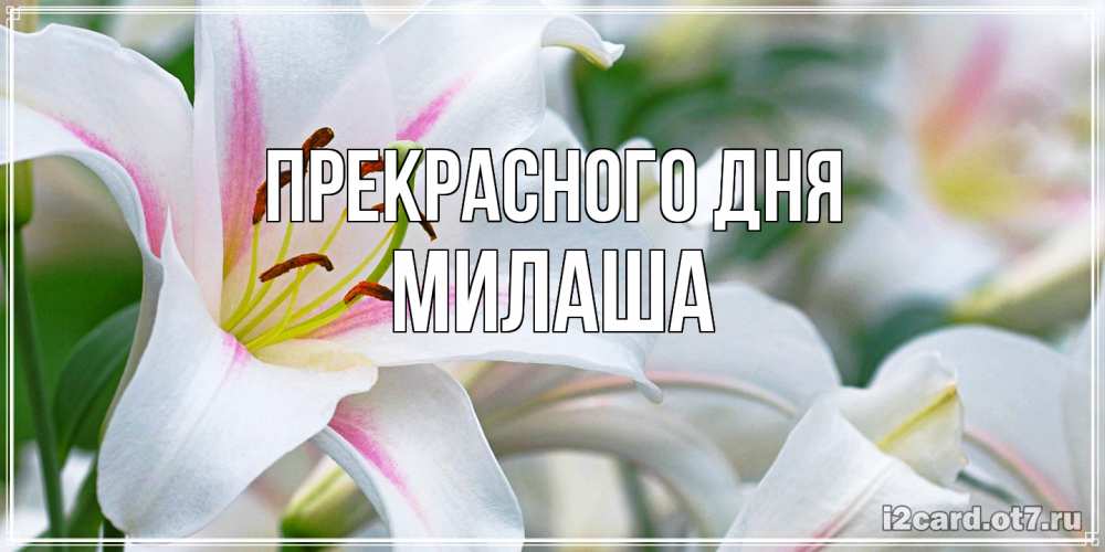 Открытка  с именем. Милаша, Прекрасного дня  