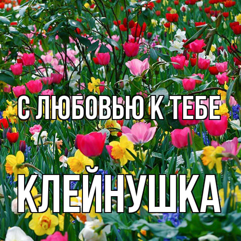 Открытка  с именем. Клейнушка, С любовью к тебе  