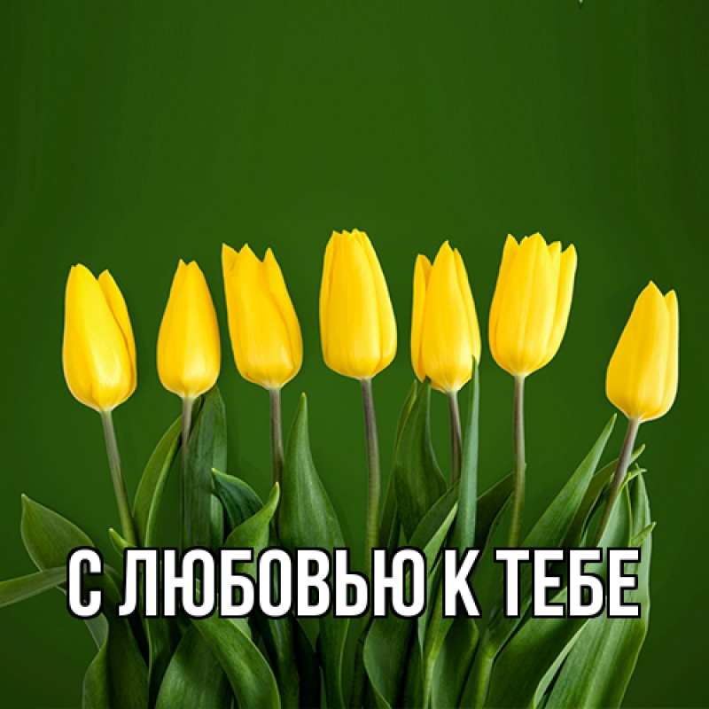 Картинка С любовью к тебе, 
