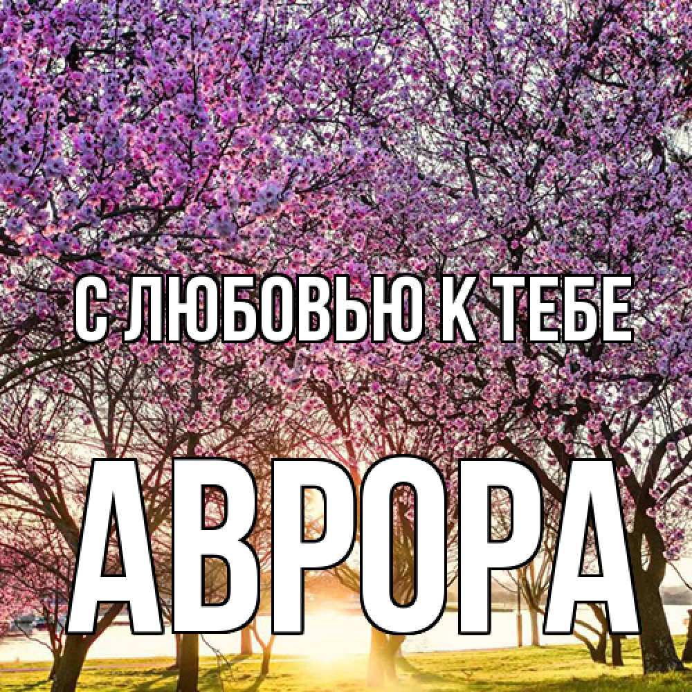 Открытка  с именем. Аврора, С любовью к тебе  