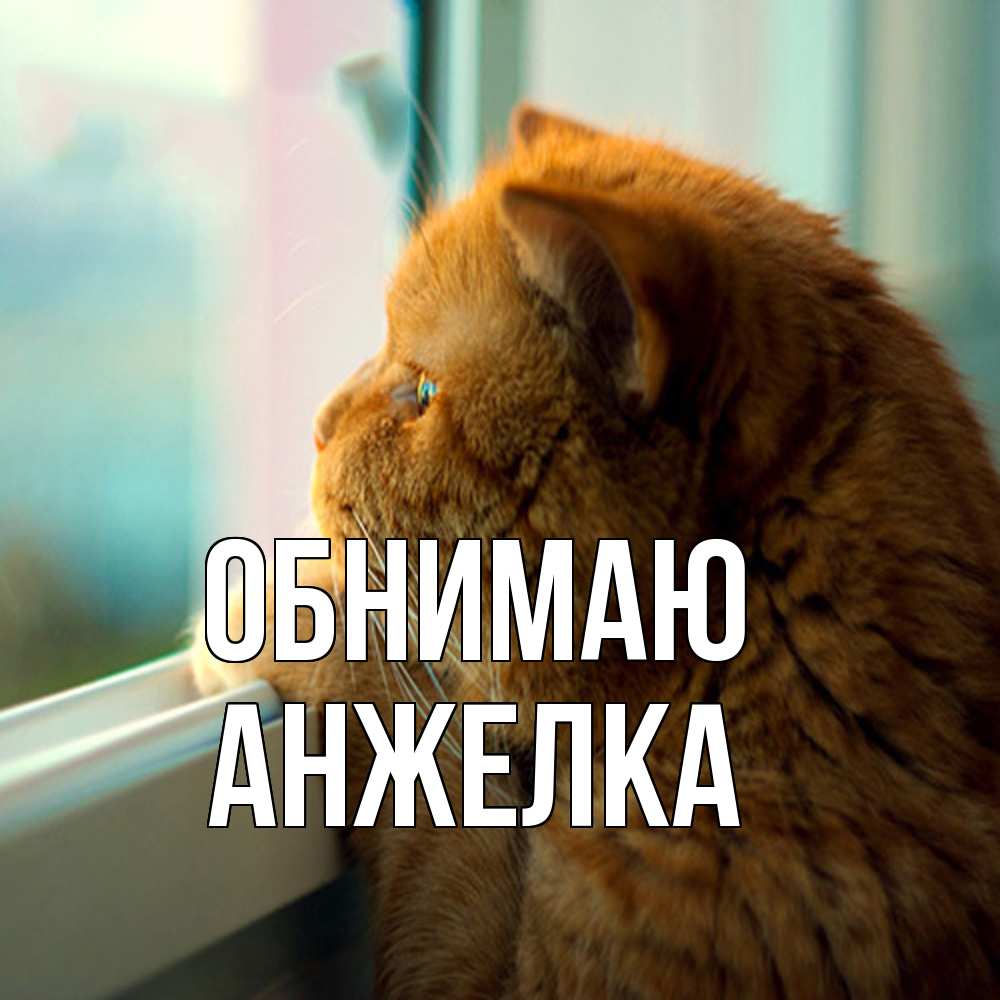 Открытка  с именем. Анжелка, Обнимаю  