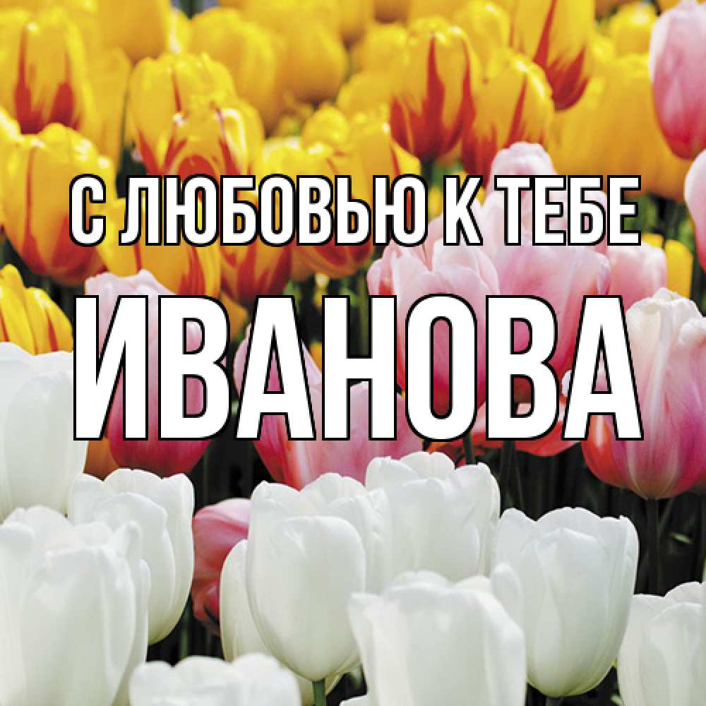 Открытка  с именем. Иванова, С любовью к тебе  