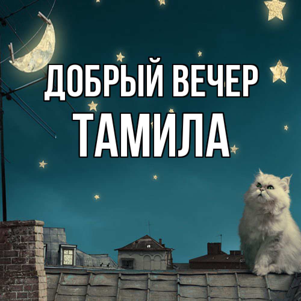 Открытка  с именем. Тамила, Добрый вечер  